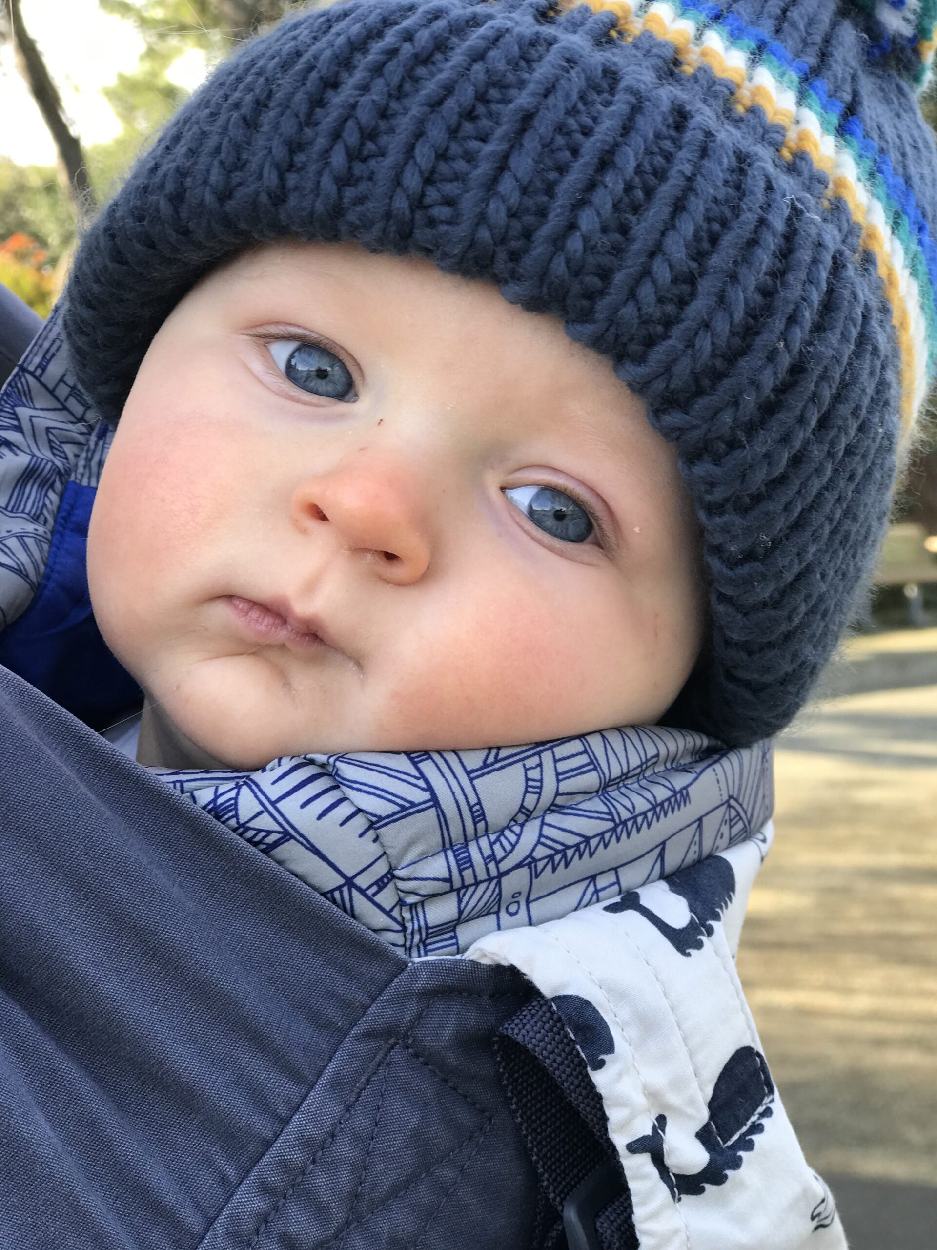 A baby peeks out from a carrier on the front of his parent in a phone photo.